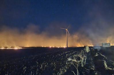 Il danno del fuoco: 100 ettari bruciati in Puglia