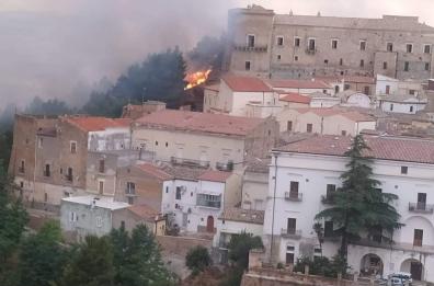 Brucia il bosco sotto Ascoli Satriano: in azione i vigili del fuoco