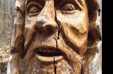 Adelfia, dagli alberi morti quattro sculture in città