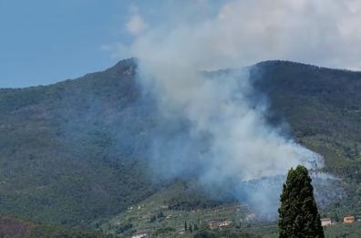 Pisa, incendio sul monte Pisano a Vicopisano
