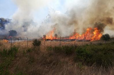 Taranto, fiamme vicino zona industriale e Pineta Cimino, cinque ettari di bosco in pericolo