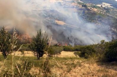 Incendi, ancora in fiamme Tricarico: interventi aerei