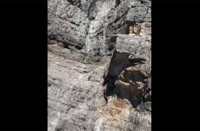 Belluno, si stacca pilastro della Moiazza sulle Dolomiti