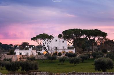 A Place called Viva! Su Sky Arte il docufilm che racconta la rassegna della Valle d'Itria