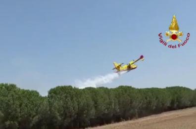 Il Salento brucia: in un mese oltre 100 roghi