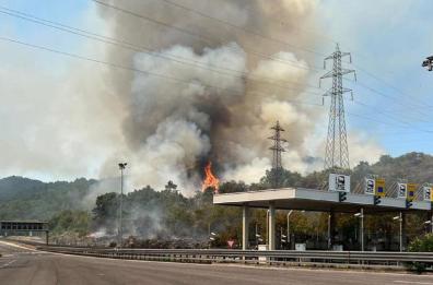 FRIULI-VENEZIA GIULIA - Trieste, incendio sul Carso