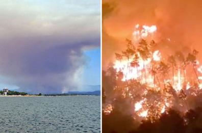 Incendi Carso e Versilia: roghi in Friuli-Venezia Giulia e Toscana