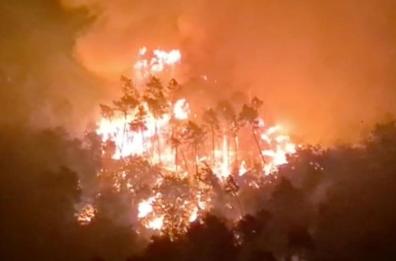 Incendio Versilia, Regione Toscana: devastazione impressionante