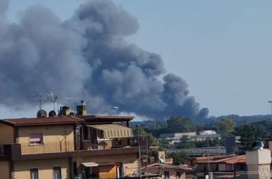 Roma, incendio nella Pineta di Castel Fusano