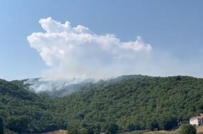 Vasto incendio colpisce il bosco di Isernia