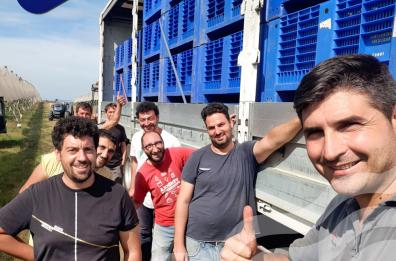 Dimitra. una start-up agricola innovativa