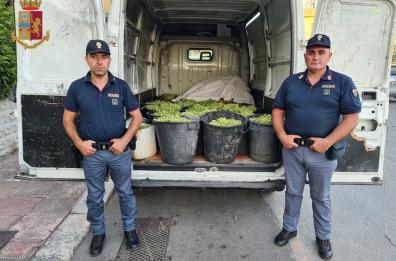 Sorpresi con 6 quintali di uva rubata: due denunciati nel Tarantino