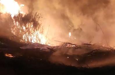 Leporano, incendio in zona Gandoli a pochi chilometri da Taranto