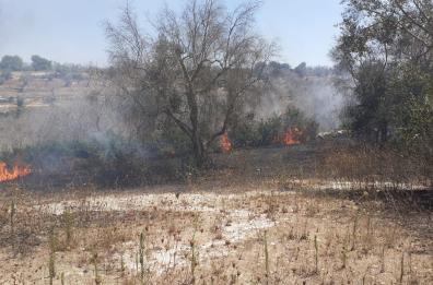 Lunedì nero nel Salento, bruciano anche le campagne di Otranto: 20 ettari di bosco in pericolo