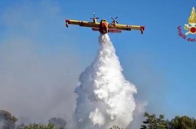 Rogo nel Foggiano, distrutti oltre 10 ettari di bosco