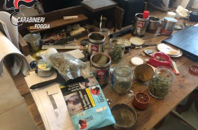 Foggia, scoperta grande piantagione di marijuana: 56enne arrestato, in casa droga pronta per lo spaccio