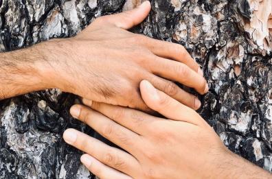 «Alberi, lasciateci invecchiare»: la natura parla con poesia e teatro