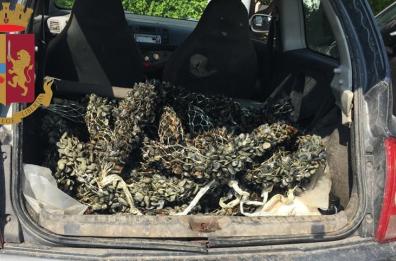 Prelevano 60 kg di cozze dal Mar Piccolo di Taranto vietato, sequestro a Massafra