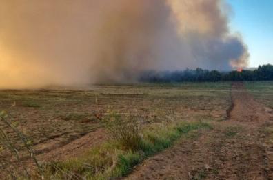Brindisi, a fuoco 3 ettari di vegetazione alle Saline: lunghe colonne di fumo
