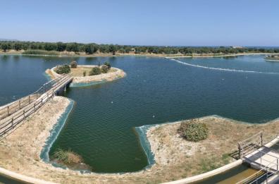 Le acque di Lago Forcatella: un Eden dove volano i gabbiani 
