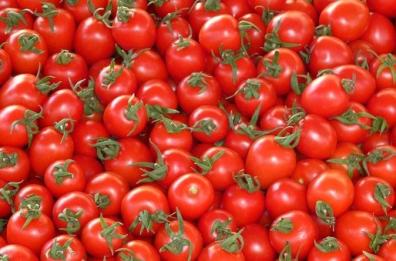 &laquo;Meno disponibilit&agrave; e prezzi spaventosi&raquo;, l&rsquo;emergenza fertilizzanti non d&agrave; tregua 