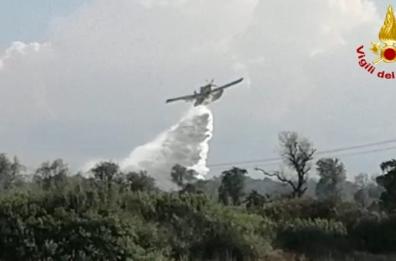 Brindisi, va in fiamme il bosco di «Santa Teresa»
