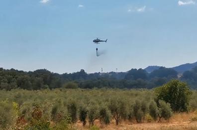 Orbetello, incendio sulla strada statale 1 Aurelia