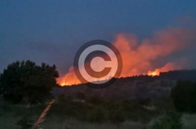 Incendi boschivi, per Foggia un triste primato
