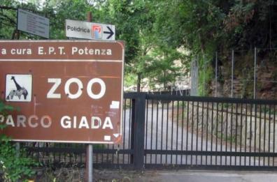 Parco Giada nell’oblìo con i suoi 147 animali