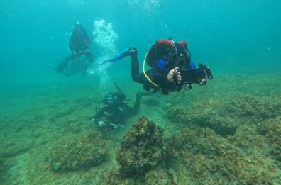 Cinema e mare: Porto Cesareo da stasera è tutta un film
