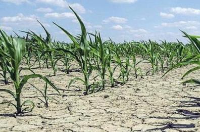 «Erogazione idrica irregolare da San Giuliano, campagne del Tarantino a secco»