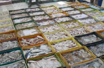 Infiltrazioni mafiose nel mercato ittico, interdette due aziende di Manfredonia