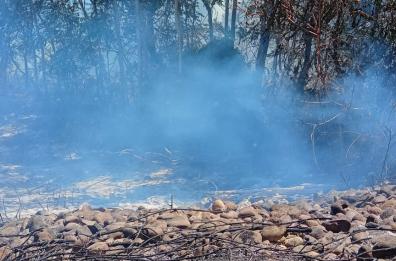 Incendio a Spinazzola, in fiamme 150 ettari di vegetazione