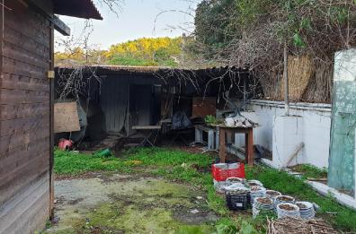 Trani, «La Lampara tornerà  presto al suo antico splendore»