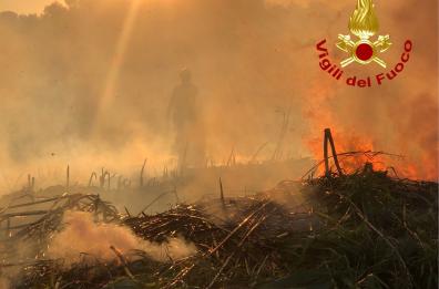 Vasto incendio in Salento, in fiamme 67 ettari di macchia mediterranea