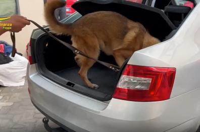 In auto con 20kg di cocaina nel portabagagli: a Foggia GdF arresta corriere della droga
