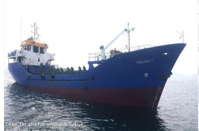 Scarsa sicurezza a bordo: a Brindisi fermato un mercantile nel porto