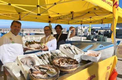 Caro gasolio, allarme per la pesca a Torre a Mare: marinerie in crisi