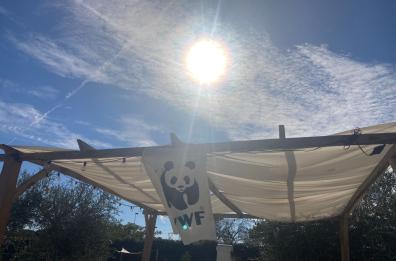 A Bari la «Festa della Natura» del Wwf si celebra a Orto Domingo