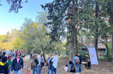 Un bosco nascosto in  città: a Bari è festa per il parco di «Cancello rotto»