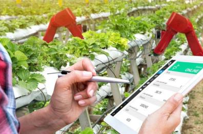 Confagri, la Puglia seconda in Italia per il numero di imprese agricole al femminile 
