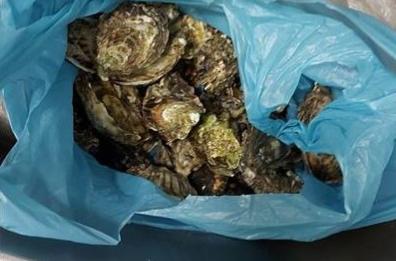 Taranto, sequestrati 10kg di mitili in un ristorante del centro: in buste di plastica senza etichetta