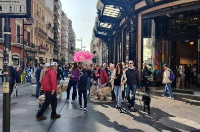 XVII Giornata nazionale del cane guida: gran festa per le strade a Bari