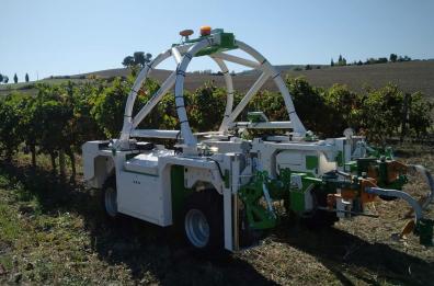 Braccia all'agricoltura «rubate» dai robot