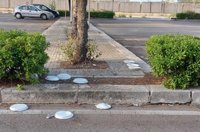 Lecce,  cibo ai gatti randagi in strada: il Comune fissa le regole 