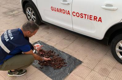 Molfetta, sequestrati tre chili di datteri di mare pescati illegalmente