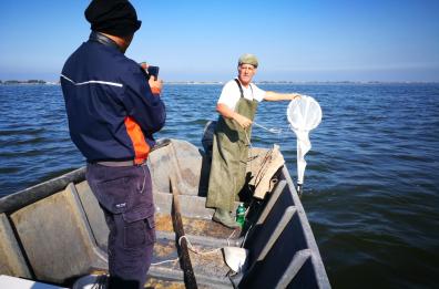 Moria di pesci in laguna Lesina: Arpa intervenuta, campionate le acque in 15 punti
