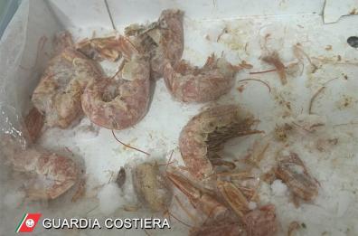 Monopoli, sigilli per scarsa igiene ad un altro ristorante etnico