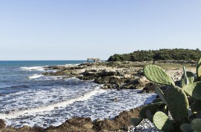 Polignano, Costa Ripagnola patrimonio Unesco: la strada verso la candidatura