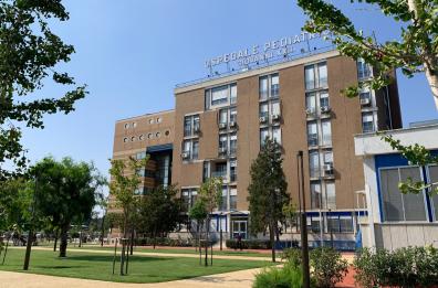 Morte Zaraj a Bari, il medico risarcirà il Policlinico con 86mila euro